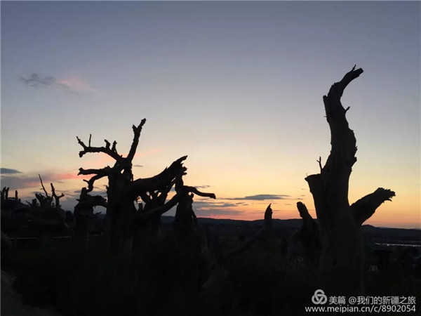 人生就是搏·(中国区)官方网站